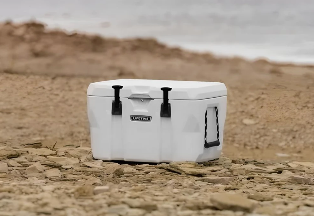 keeping guests cool at outdoor party