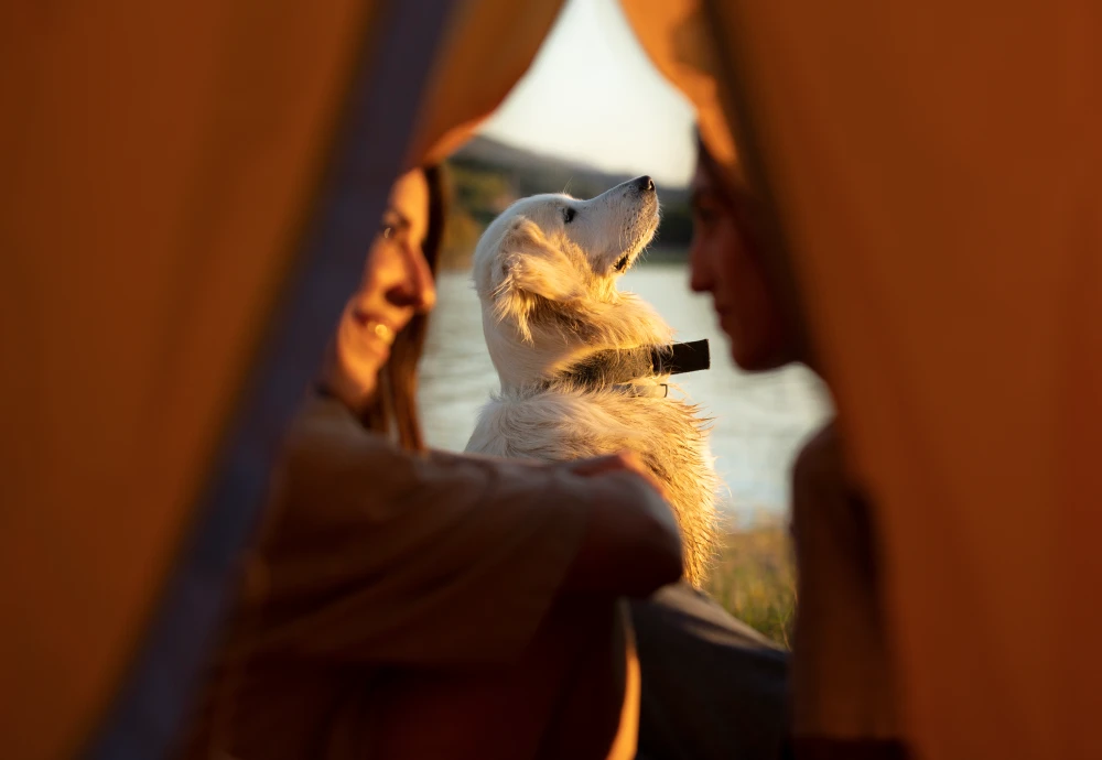 best pyramid tent