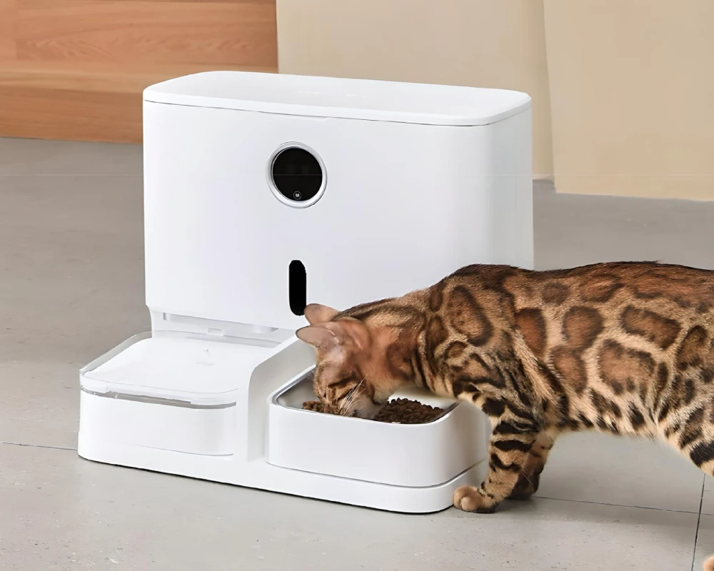 automatic dog feeder and water dispenser